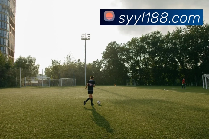 顺盈娱乐官网平台生态图