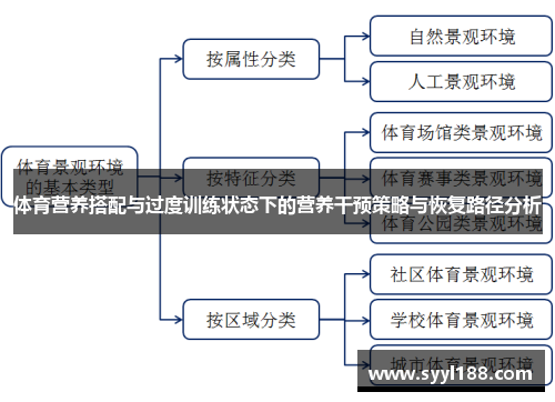 体育营养搭配与过度训练状态下的营养干预策略与恢复路径分析